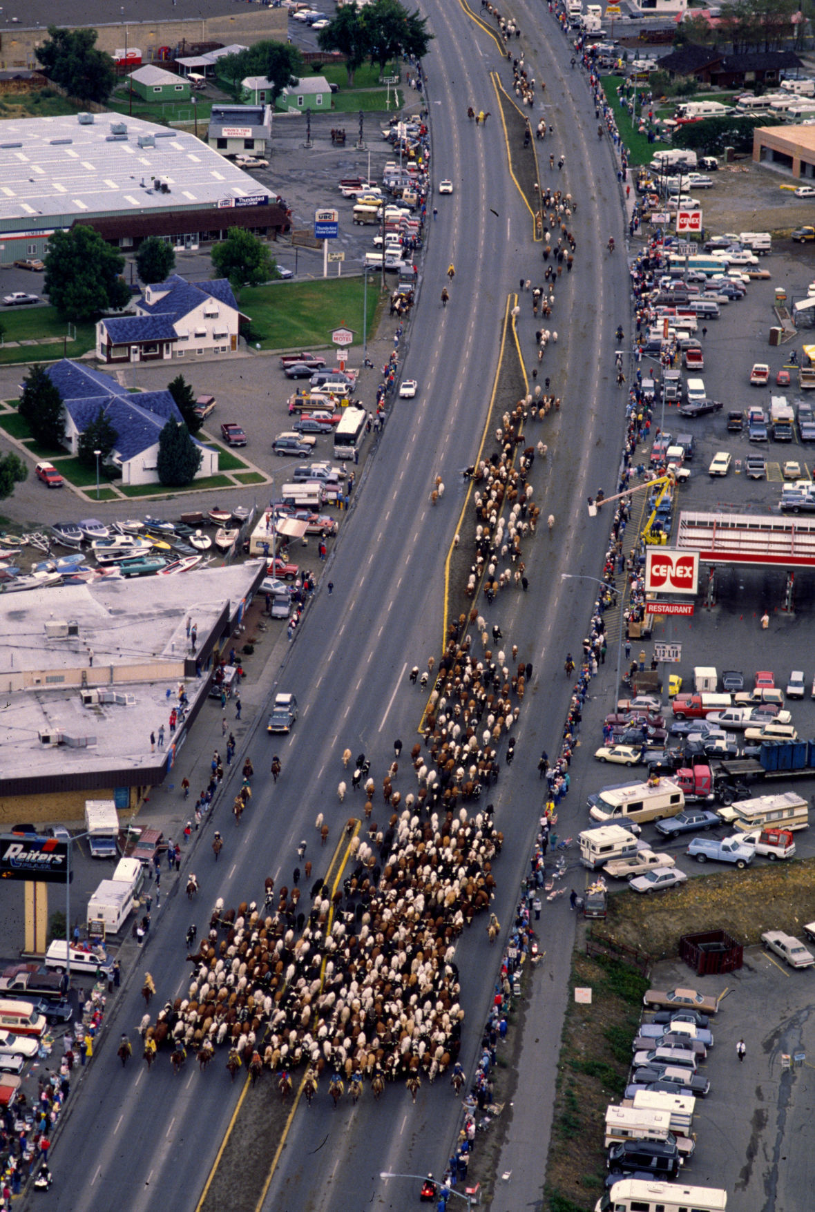 Great Montana Centennial Cattle Drive